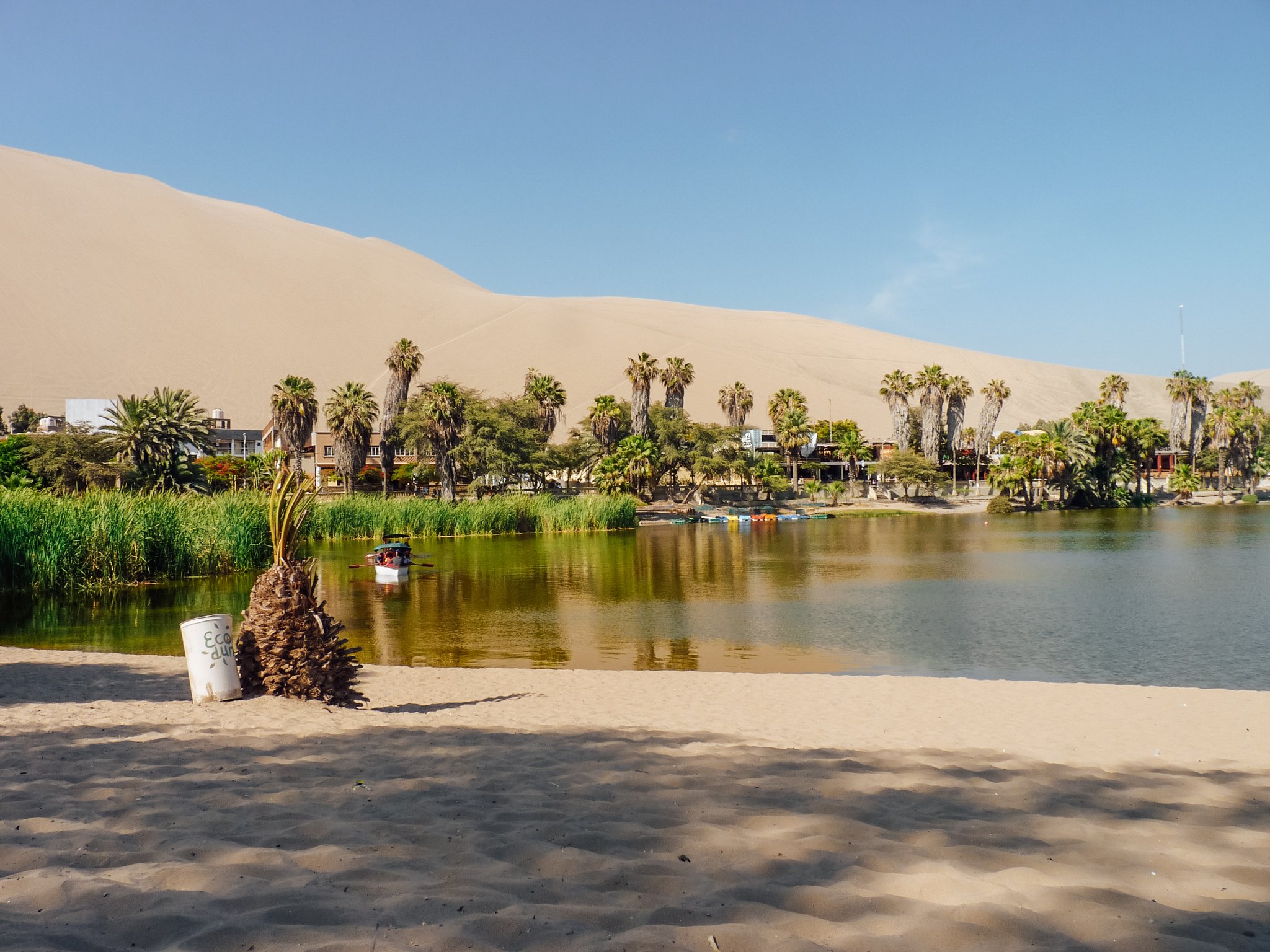 que visiter à paracas et ica oasis de huacachina pérou