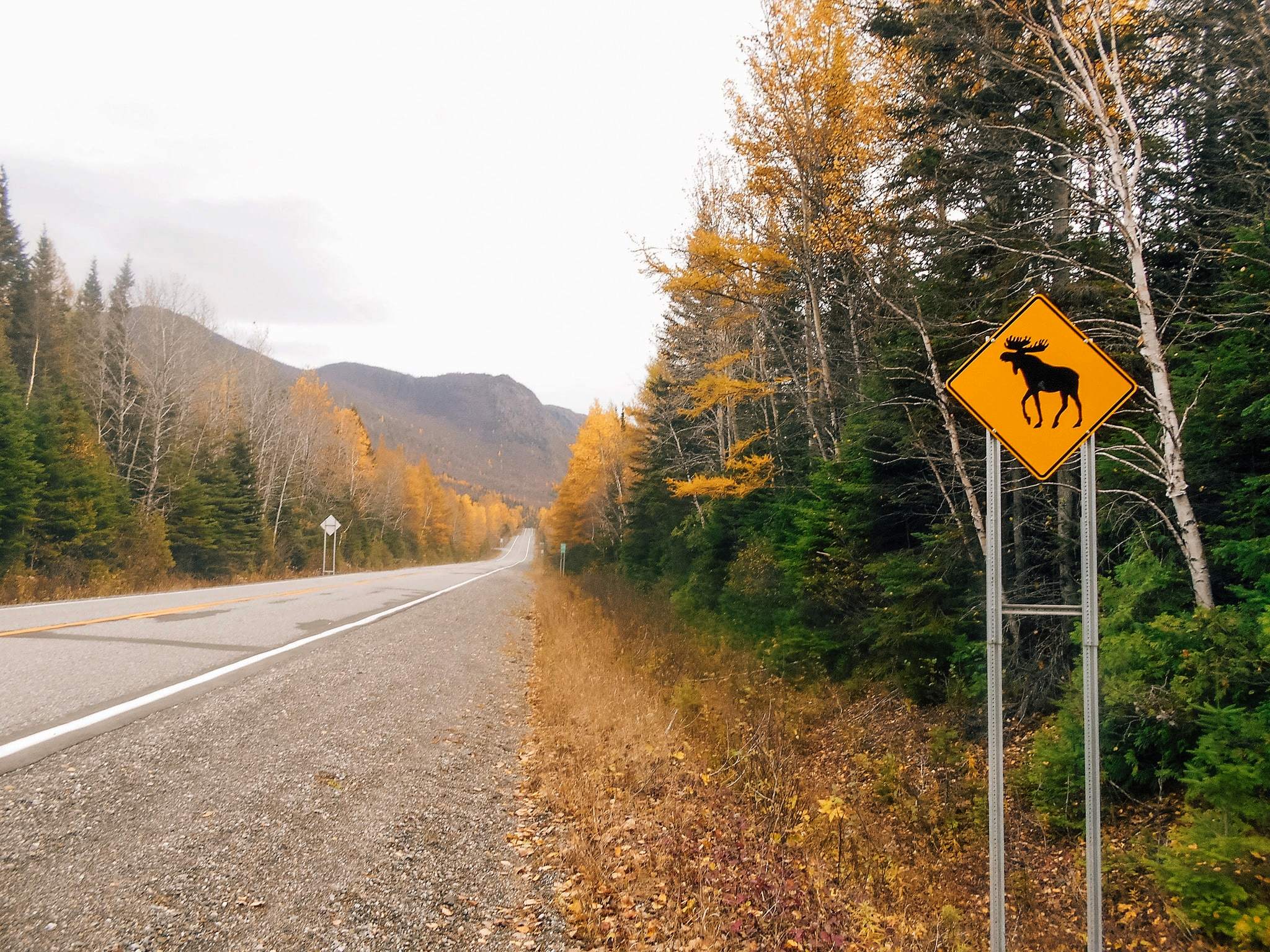 3 idées d'itinéraires au Québec pour découvrir la Belle-Province